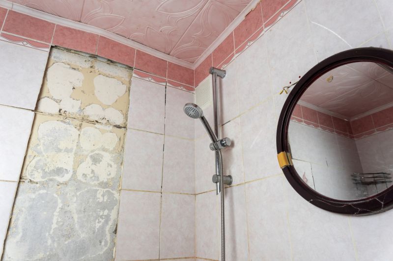 Top Shower Remodeling Companies in Menomonee Falls, WI